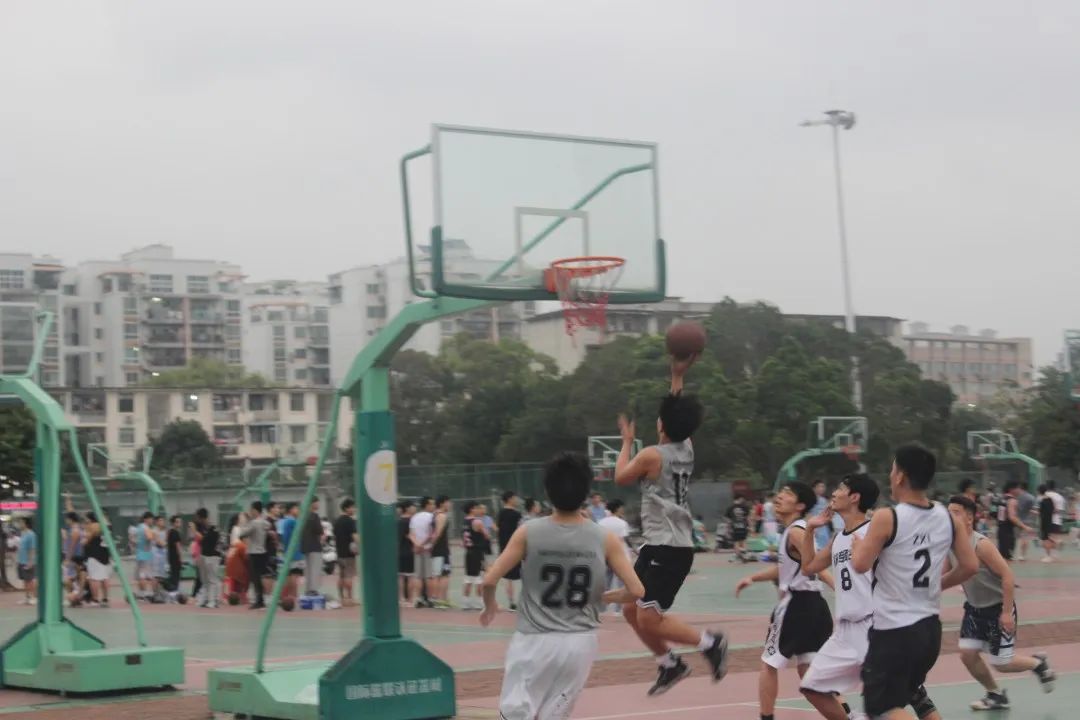 IMG_257 IMG_257